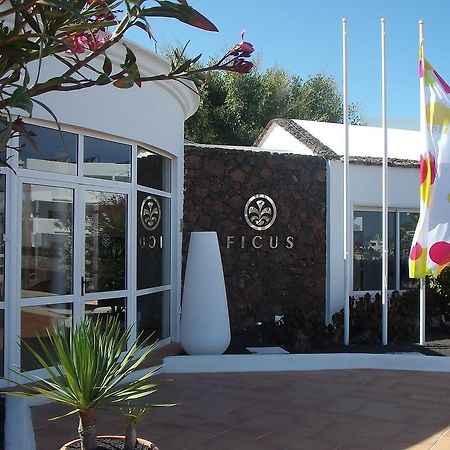 Apartamentos Ficus Costa Teguise Eksteriør billede
